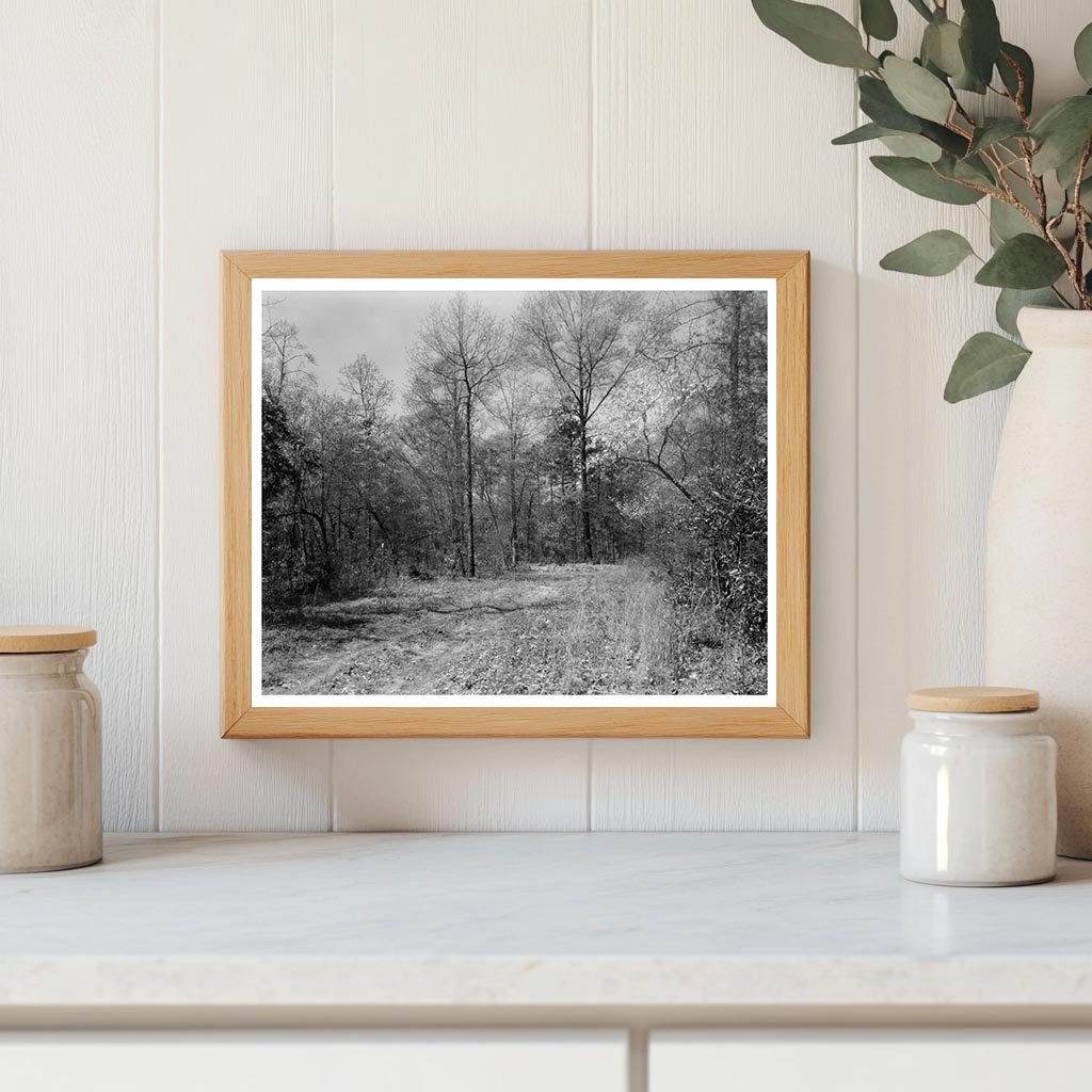 1910 Princess Anne County Virginia Architecture Photo