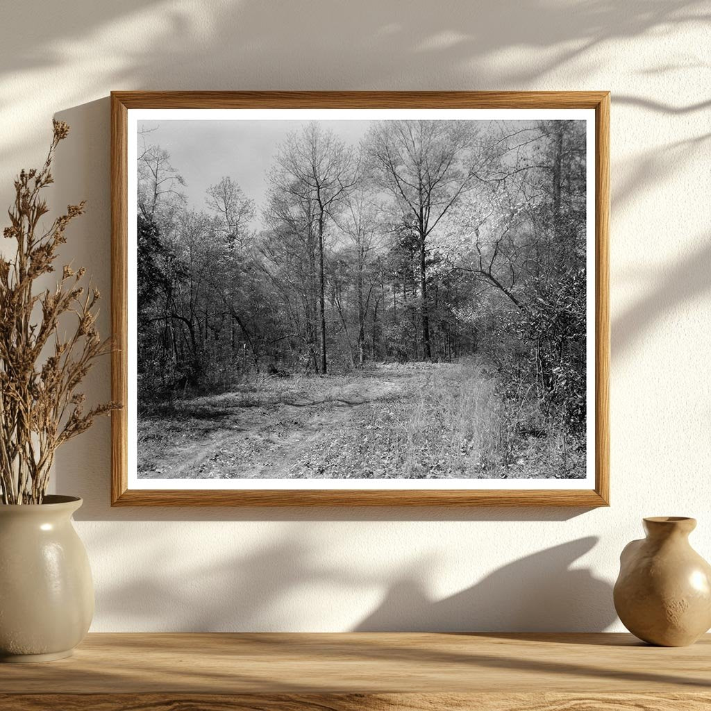 1910 Princess Anne County Virginia Architecture Photo