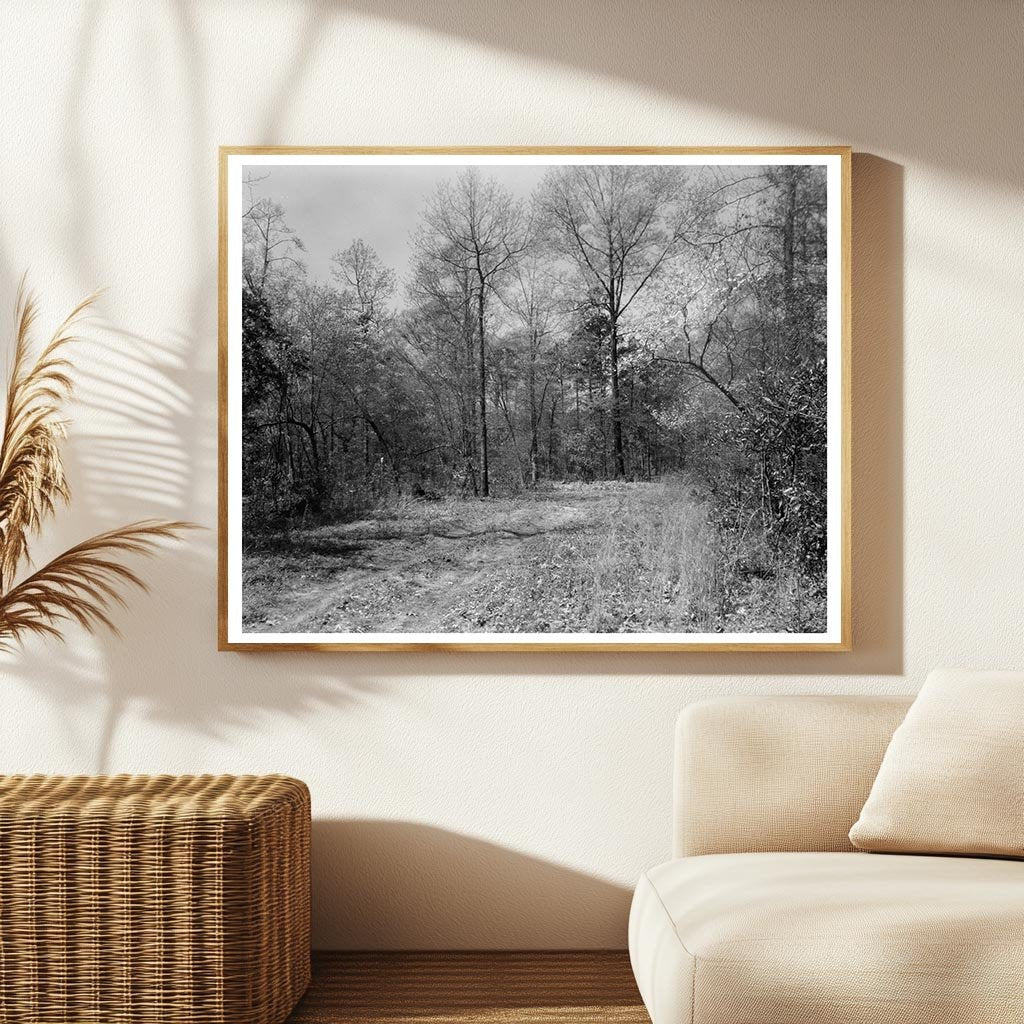 1910 Princess Anne County Virginia Architecture Photo