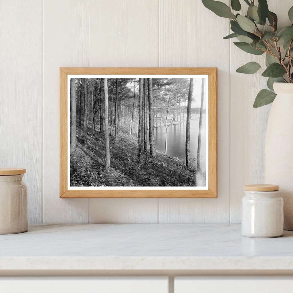 Vintage Landscape of Princess Anne County, Virginia, 20th Ce