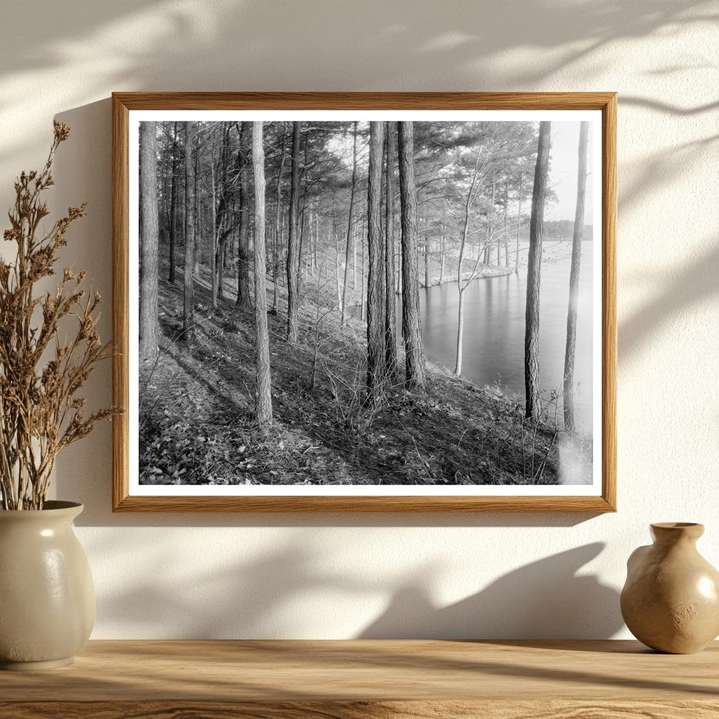 Vintage Landscape of Princess Anne County, Virginia, 20th Ce