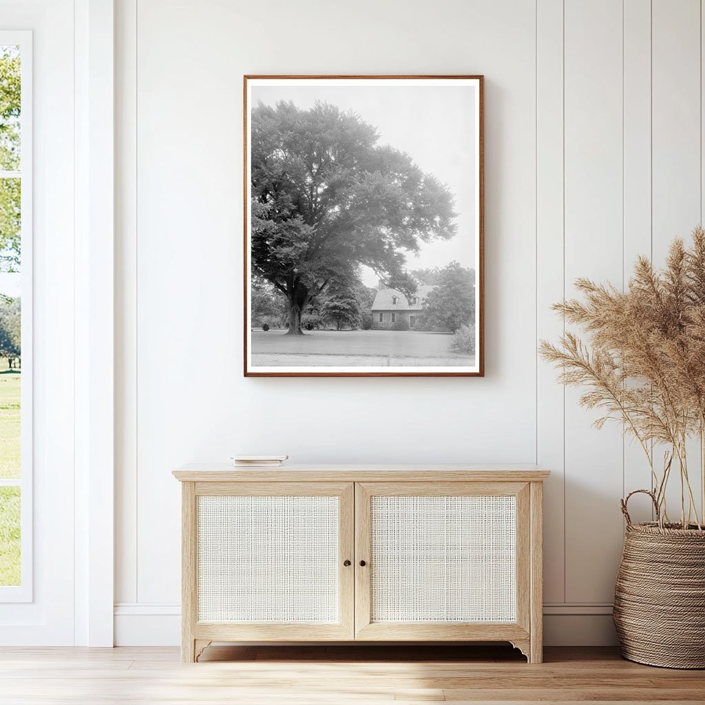 First Brick House in Norfolk, VA - Historic Photo 1634