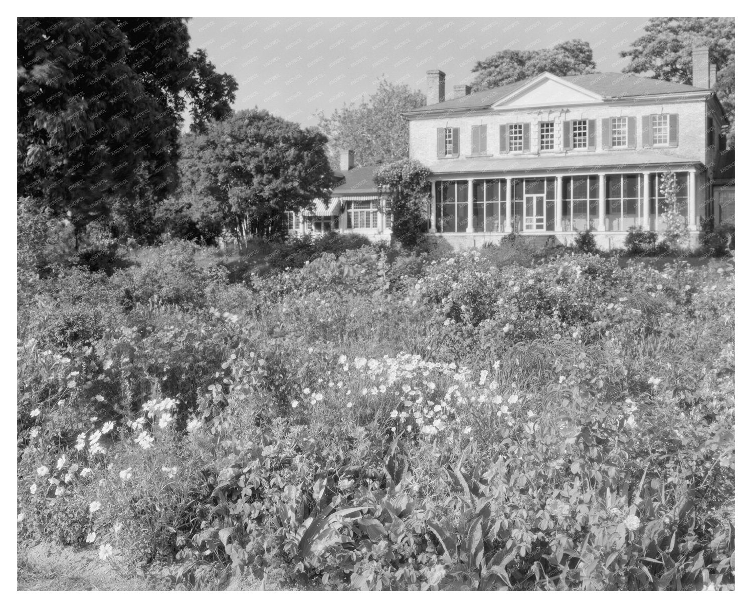 1730 Estate in Richmond County, VA - Historical Photograph
