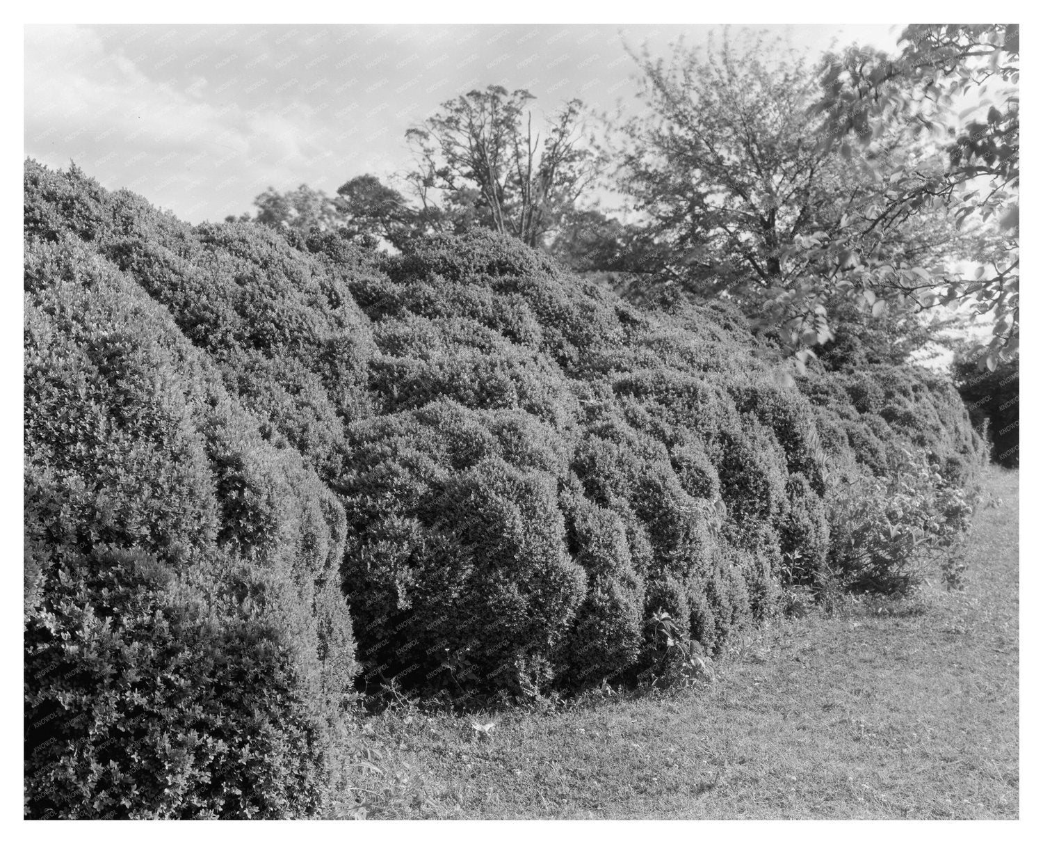 Colonial Architecture in Richmond County, VA, 1730