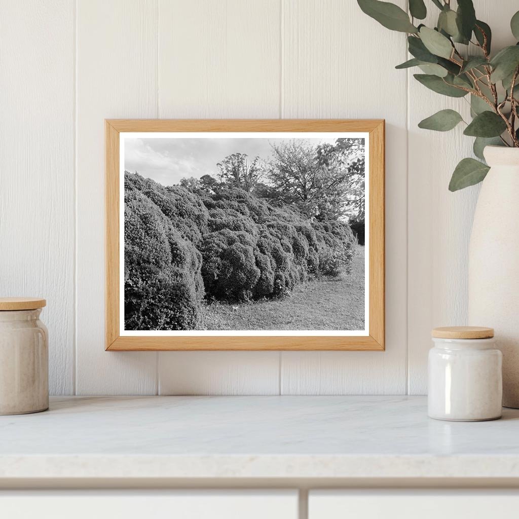 Colonial Architecture in Richmond County, VA, 1730