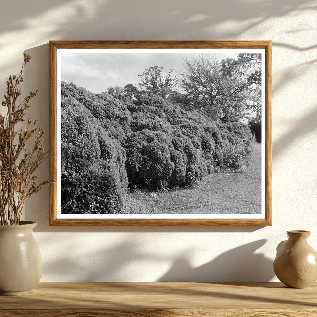 Colonial Architecture in Richmond County, VA, 1730