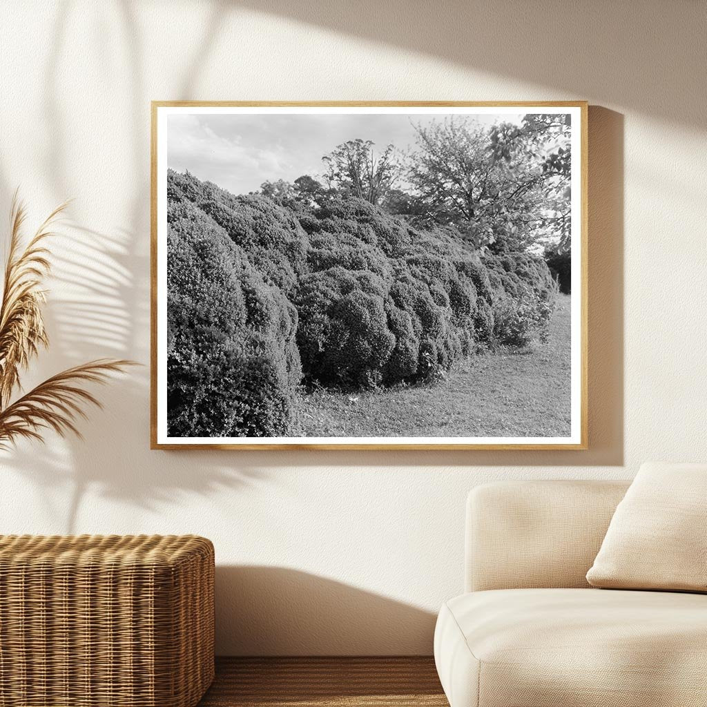 Colonial Architecture in Richmond County, VA, 1730