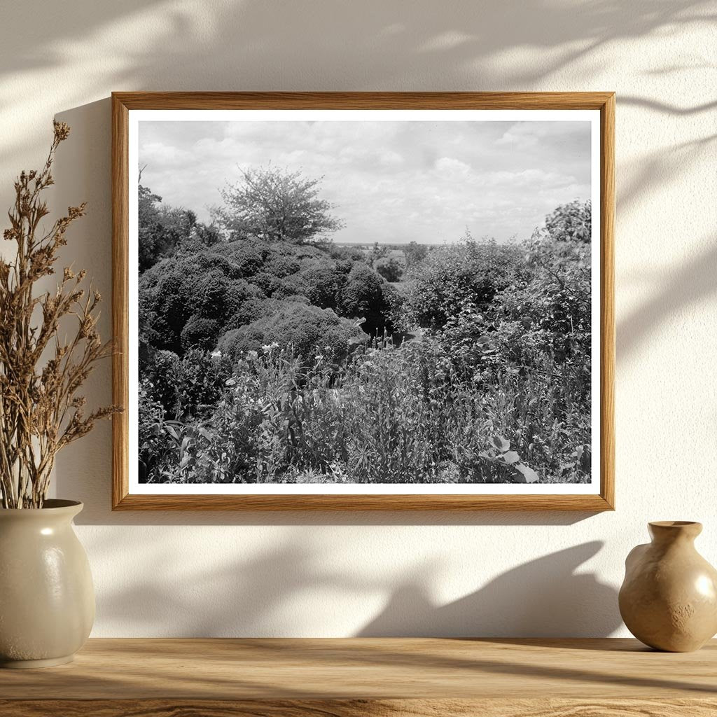 1730 Estate in Richmond County, VA: Historic Photograph