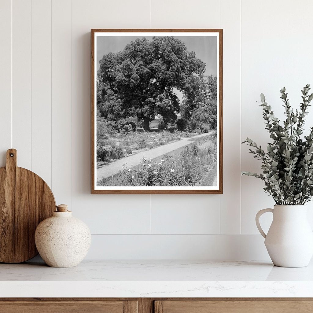 Historical Building in Warsaw, VA - 1730 Vintage Photo