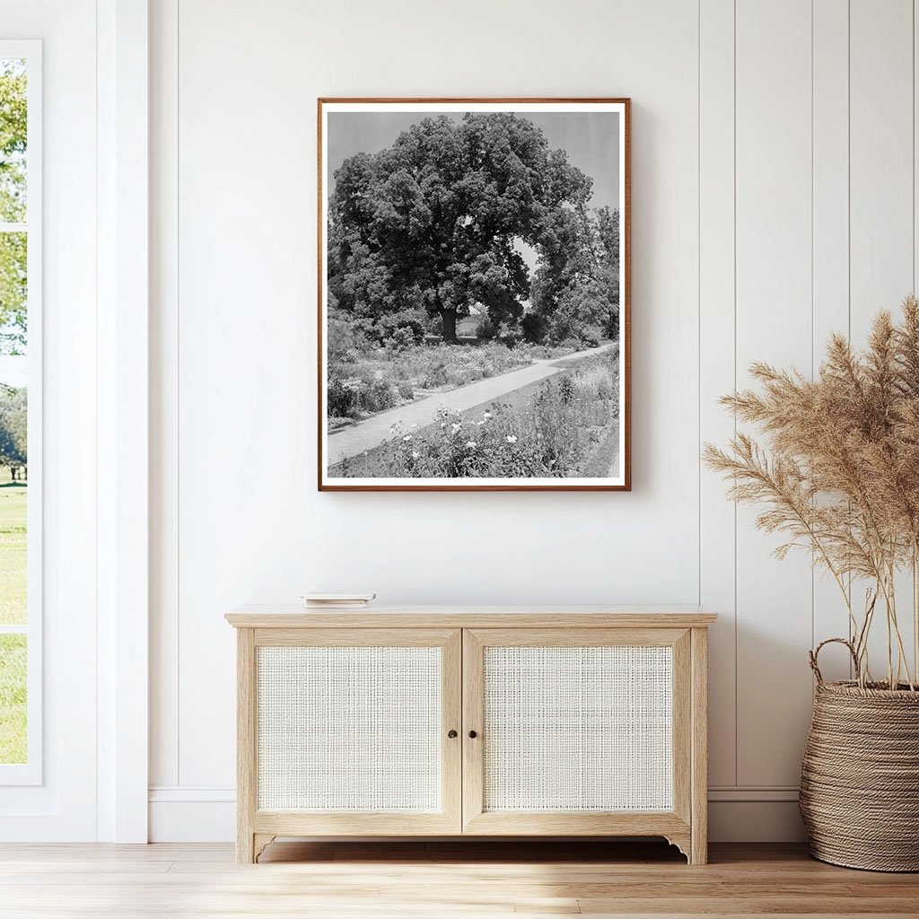 Historical Building in Warsaw, VA - 1730 Vintage Photo