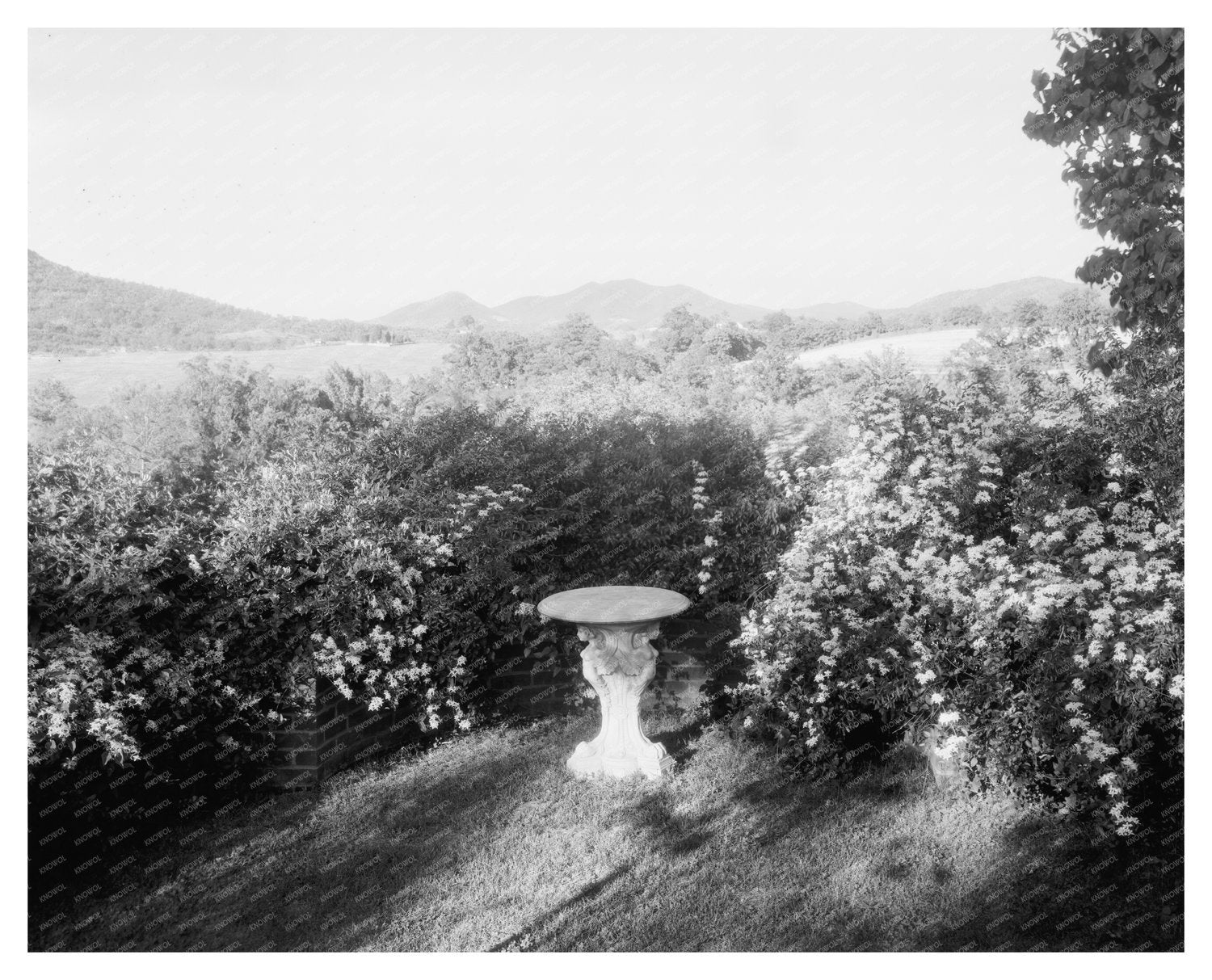 Hollins VA 1900s Vintage Garden Architecture Photo