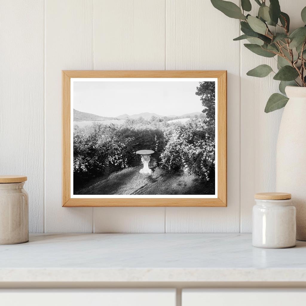 Hollins VA 1900s Vintage Garden Architecture Photo
