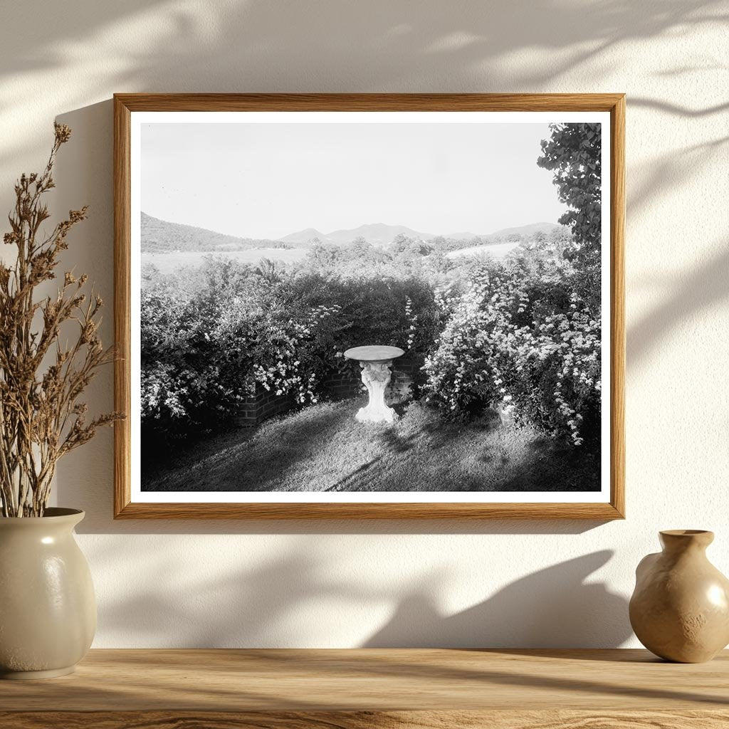 Hollins VA 1900s Vintage Garden Architecture Photo