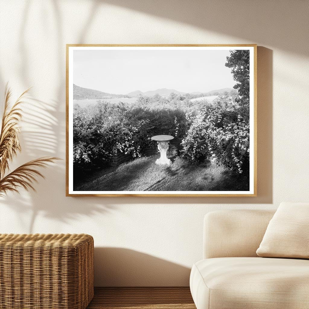 Hollins VA 1900s Vintage Garden Architecture Photo