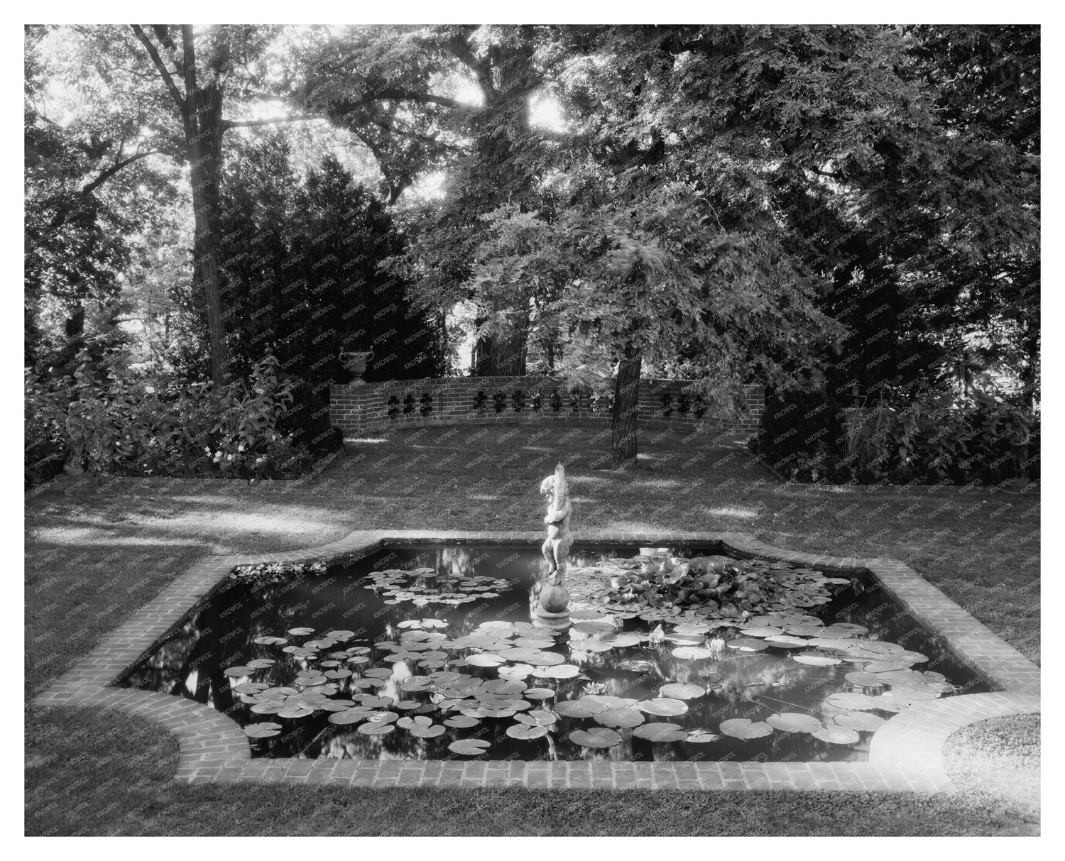 Lily Ponds in Hollins, Roanoke County, VA, 1900s Image