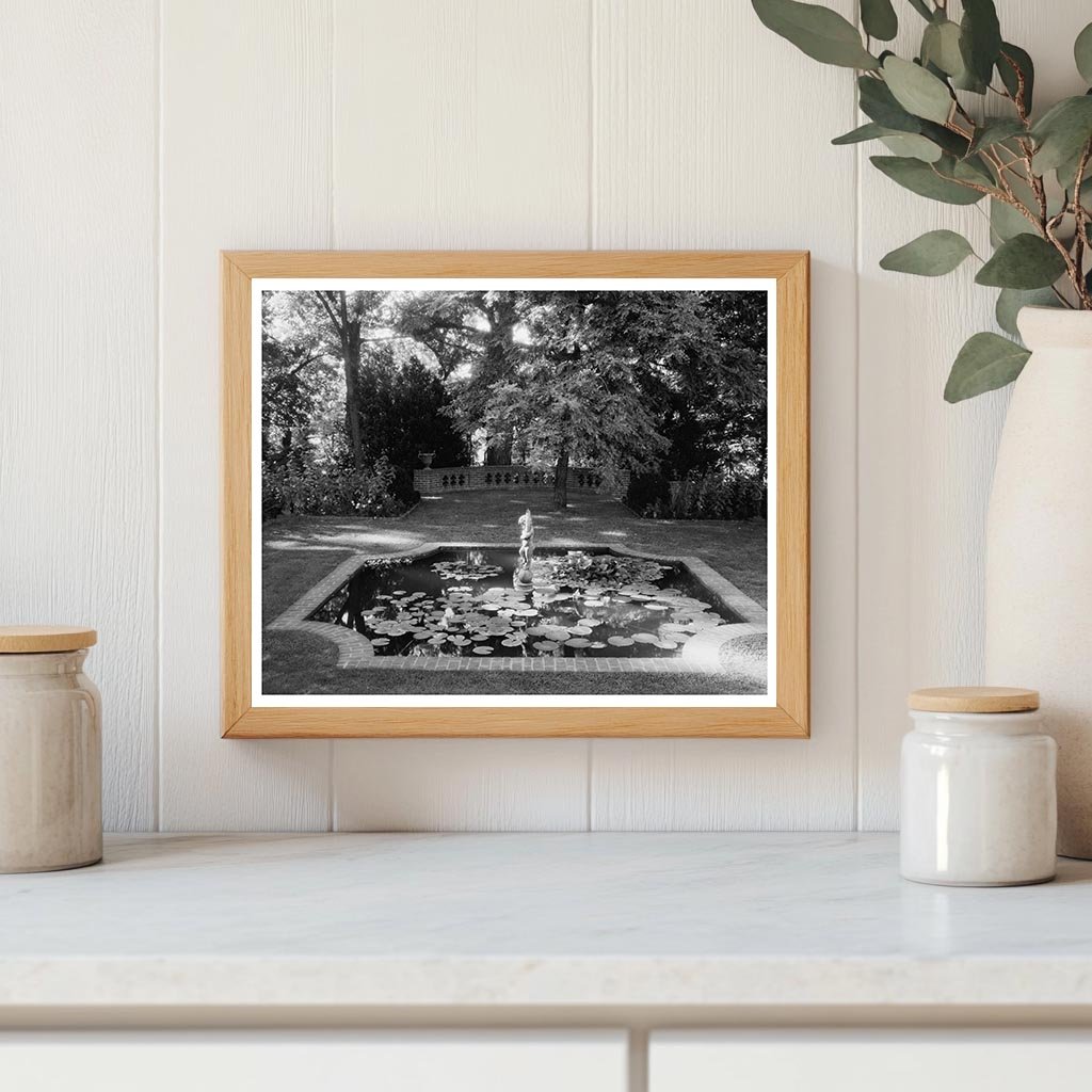 Lily Ponds in Hollins, Roanoke County, VA, 1900s Image