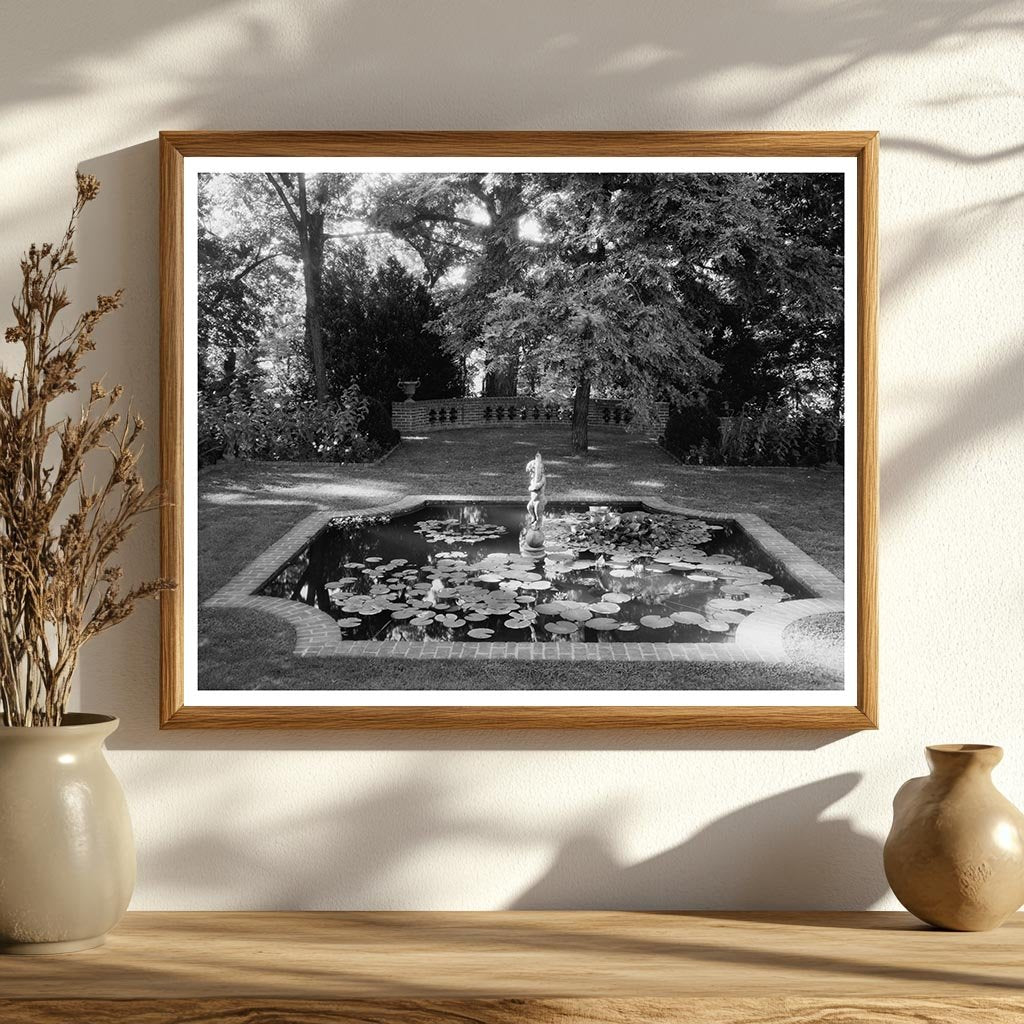 Lily Ponds in Hollins, Roanoke County, VA, 1900s Image