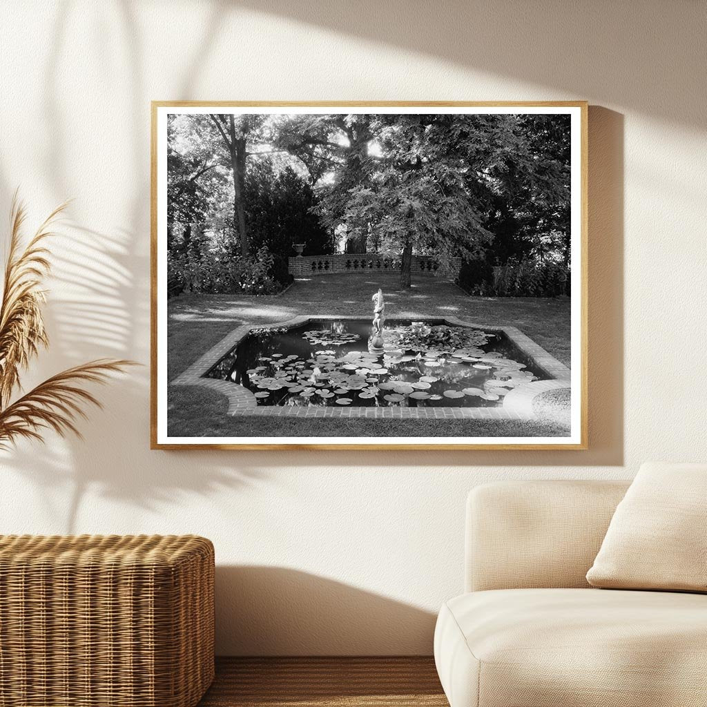 Lily Ponds in Hollins, Roanoke County, VA, 1900s Image