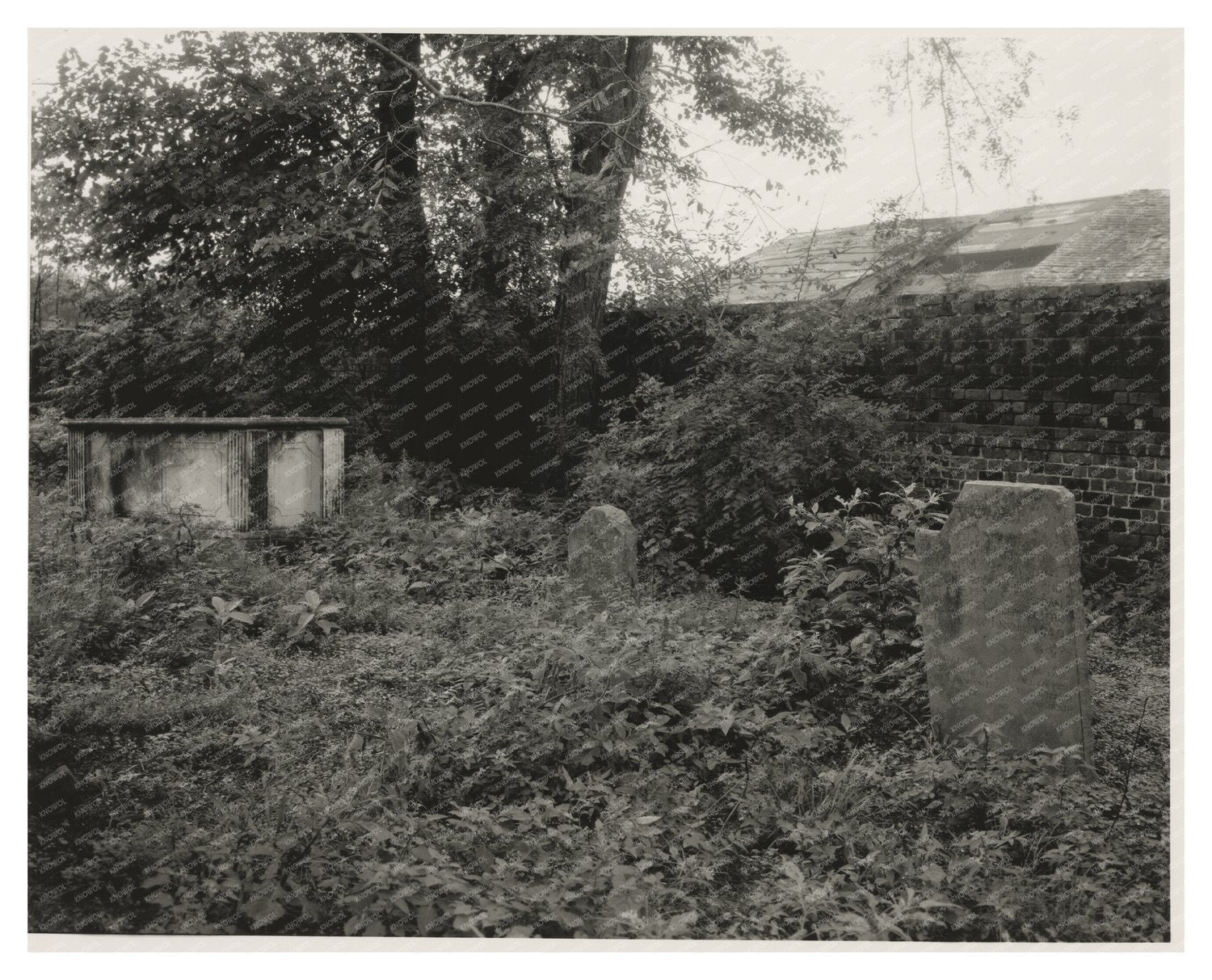 Spring Grove Cemetery, Surry County, Virginia, 1953 Photo