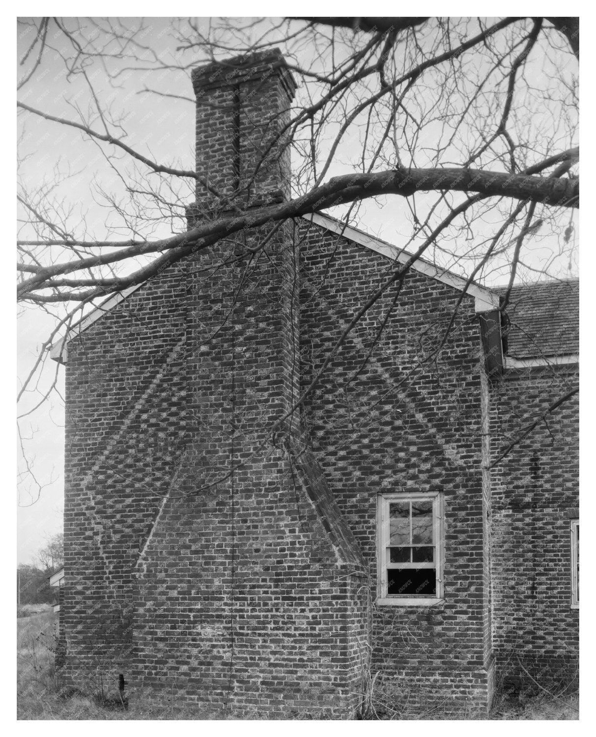 Mulberry Island, Warwick County VA, Early 20th Century Photo