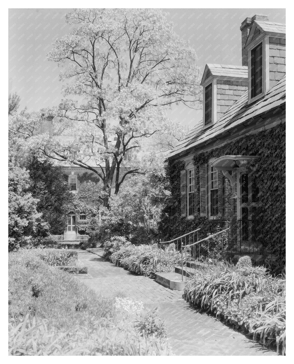 Nelson House in Yorktown, Virginia - Historic Image 1740