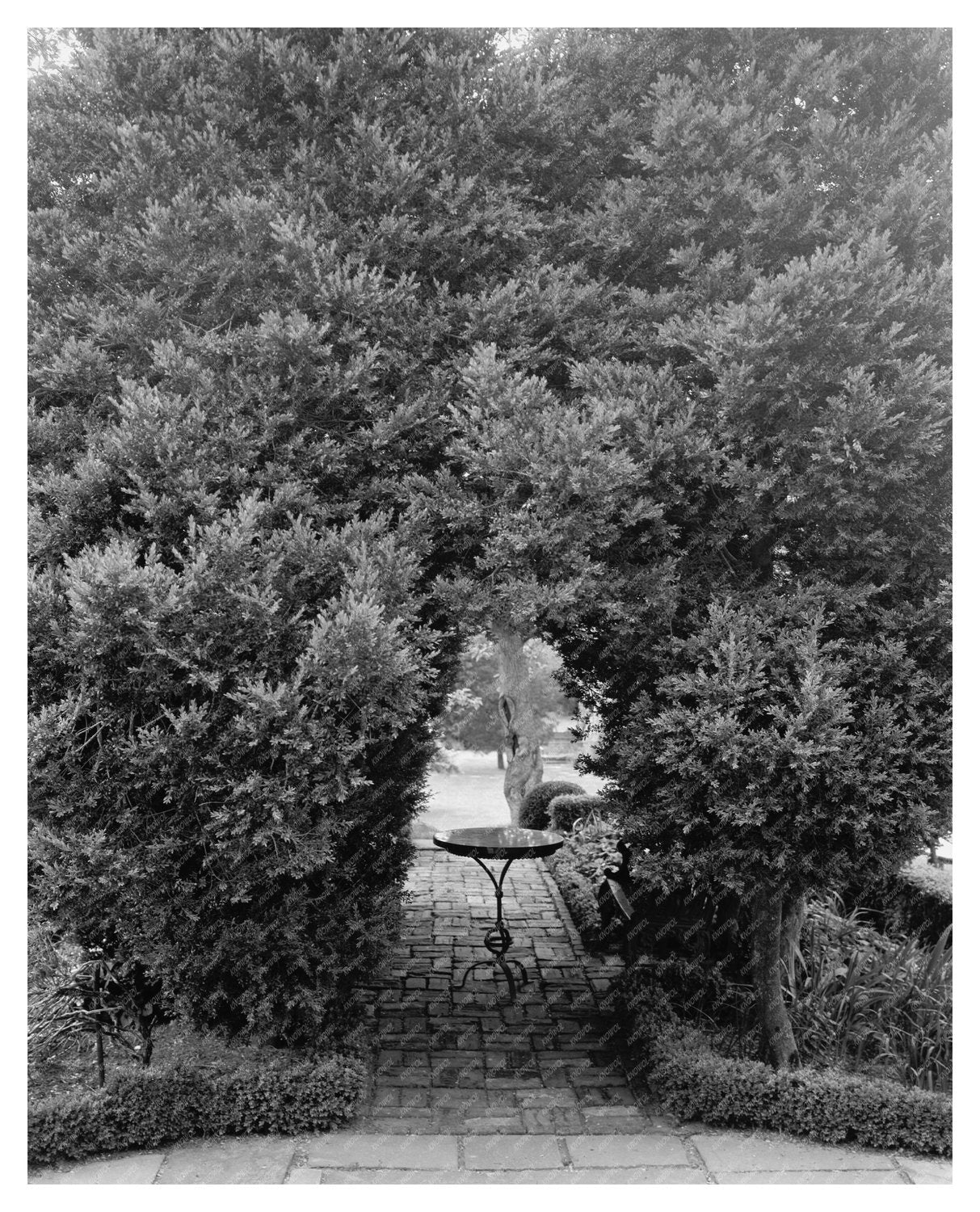 Nelson House, Yorktown VA, Historic Image 1740-1741