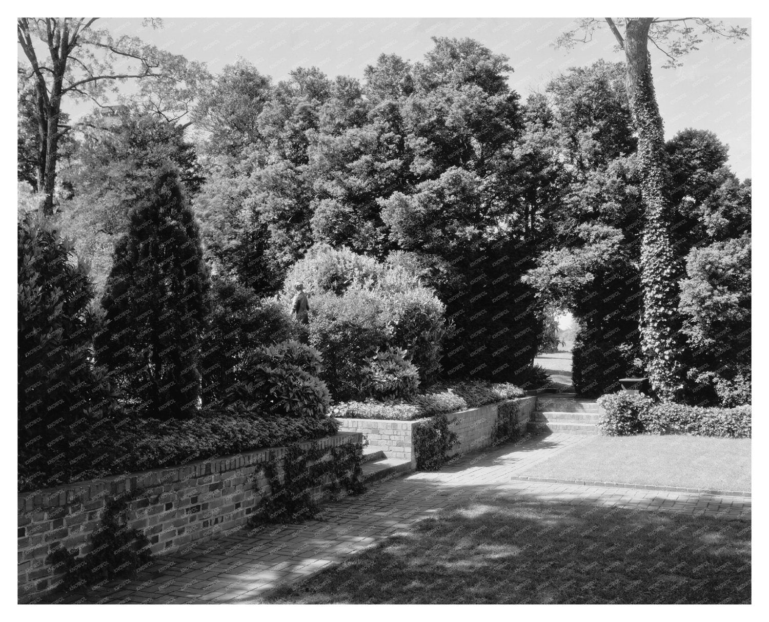 Nelson House in Yorktown, Virginia - Historic Photo 1740