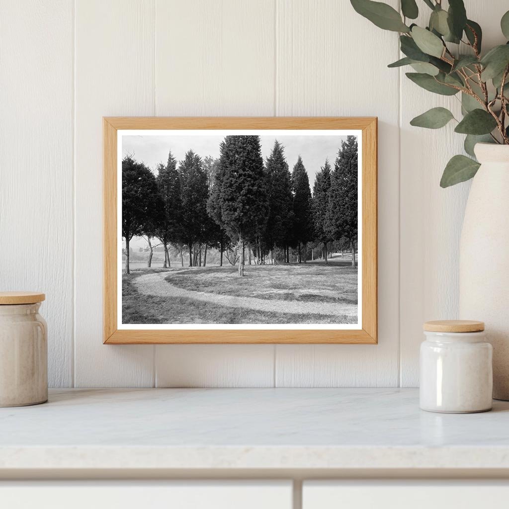 George Washingtons Birthplace, Westmoreland VA, 1953