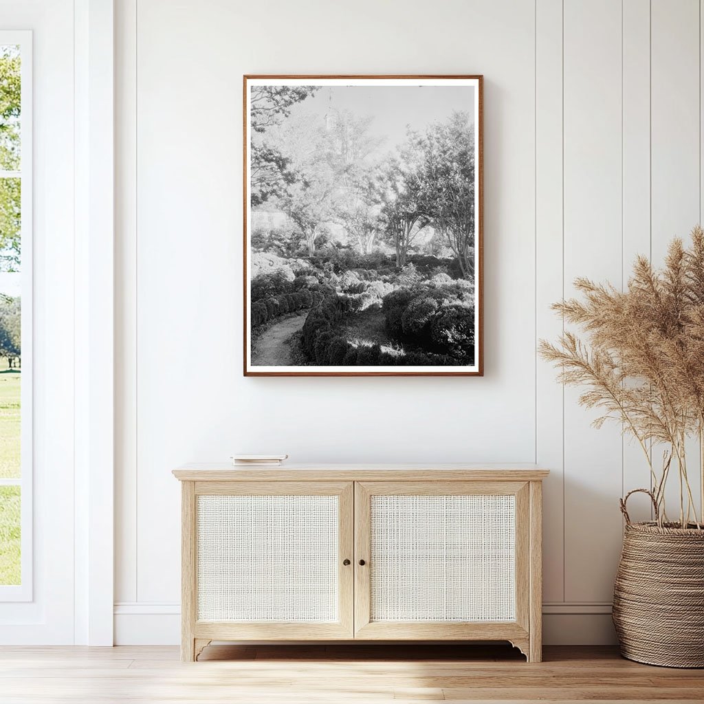 Historic Williamsburg, VA Photograph from 1953