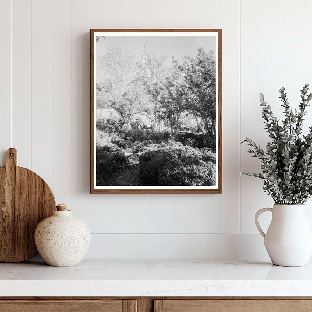 Vintage Williamsburg Photo, Virginia 1930s Historical Archit