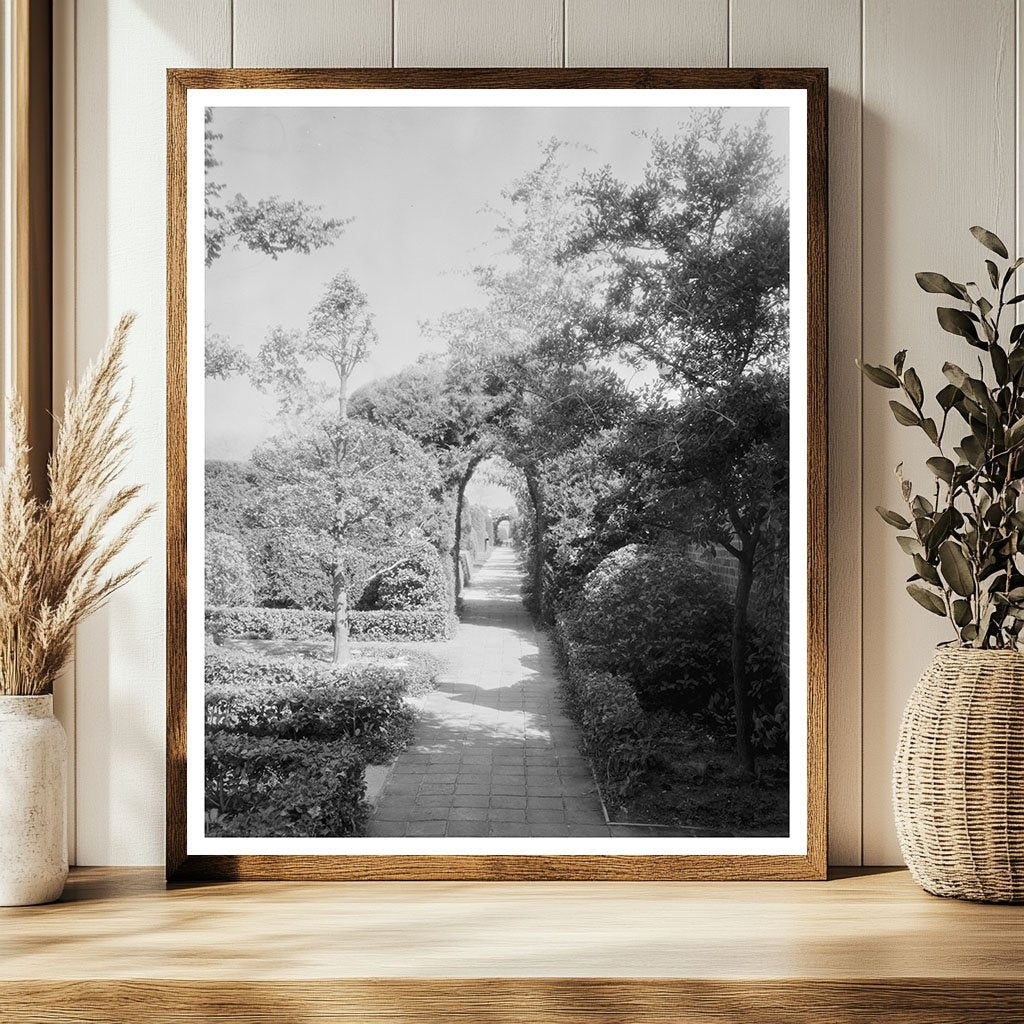 Vintage Williamsburg, VA Landscape Photo 1920s