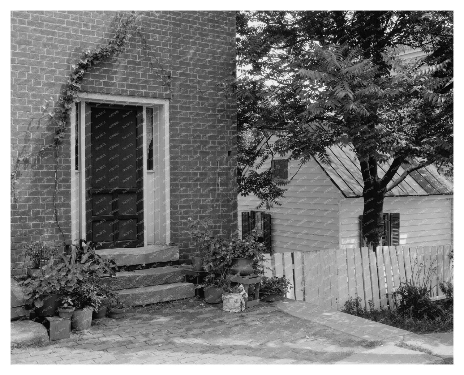 Falmouth VA Historic Building Doorway Photo 20th Century