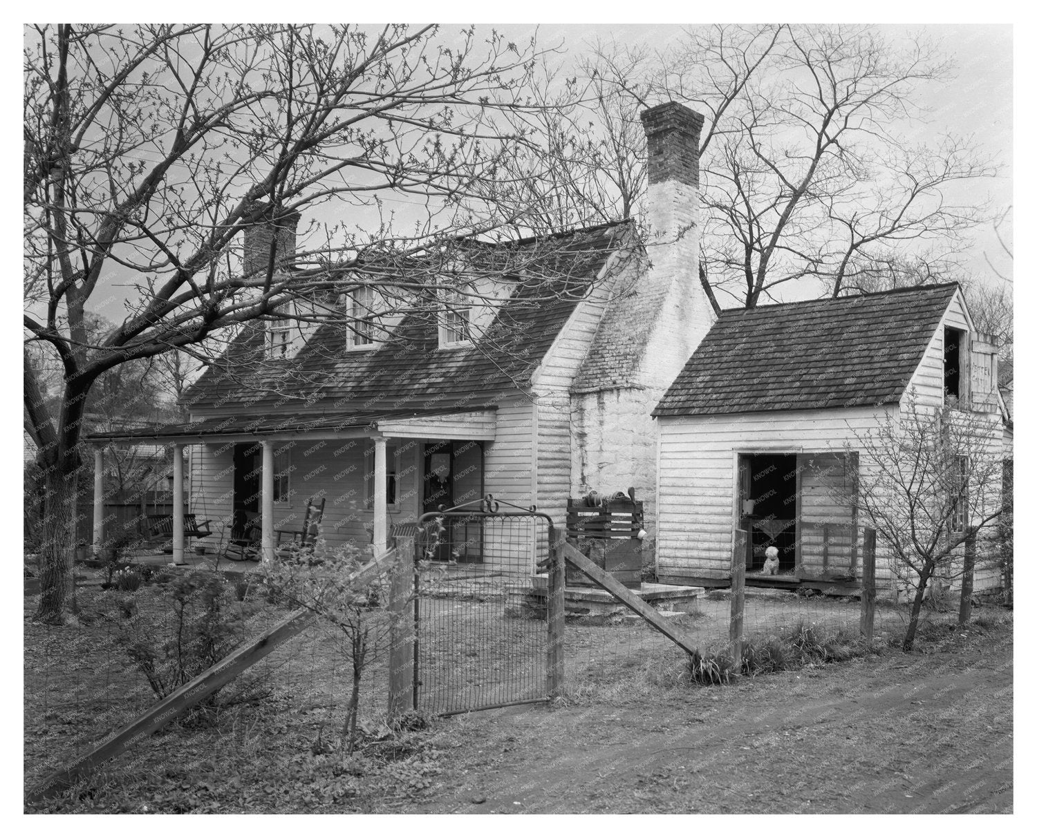 Falmouth VA Orchard Photo, Carnegie Survey 20th Century