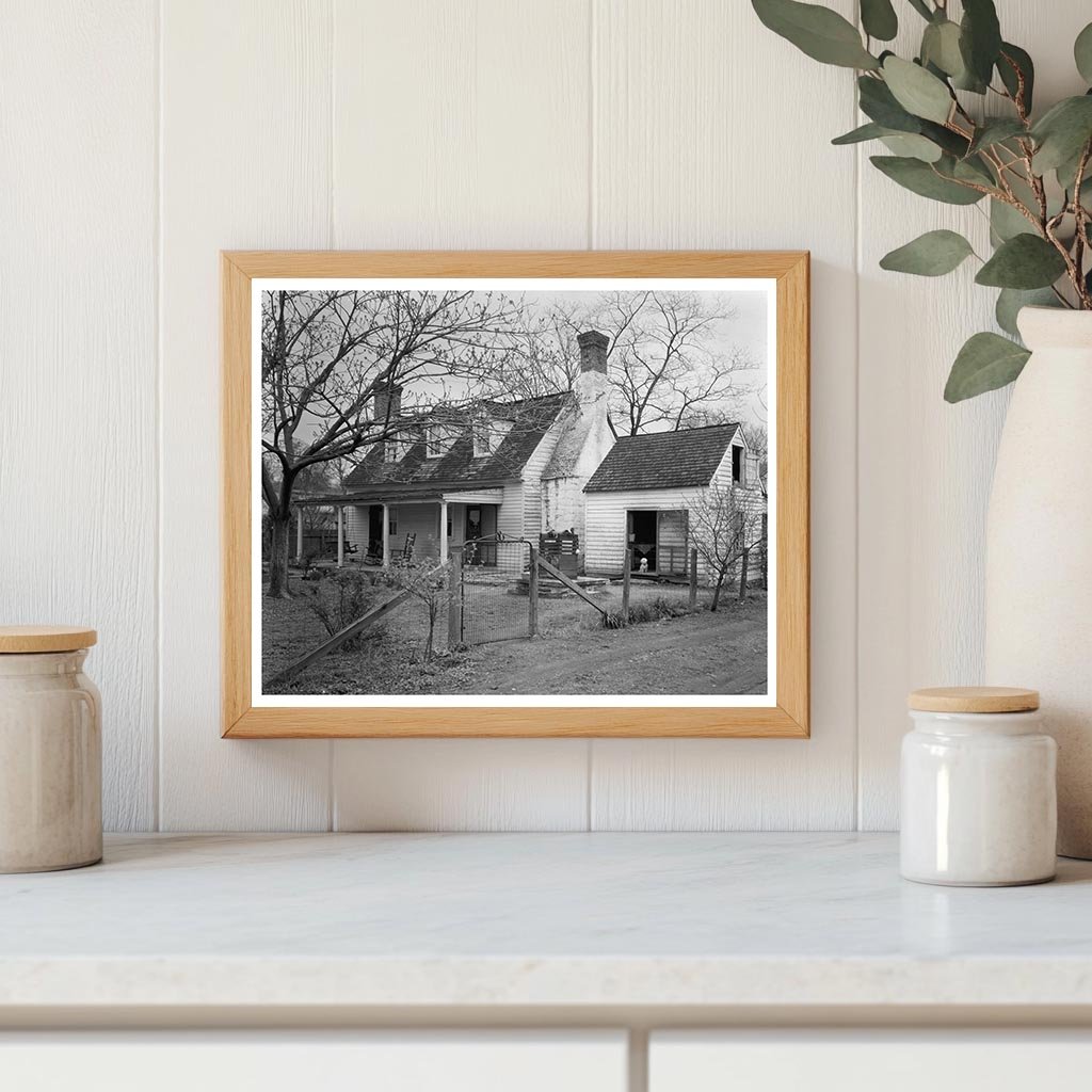 Falmouth VA Orchard Photo, Carnegie Survey 20th Century