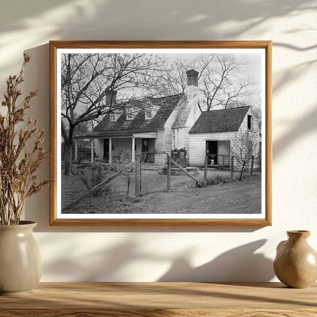 Falmouth VA Orchard Photo, Carnegie Survey 20th Century