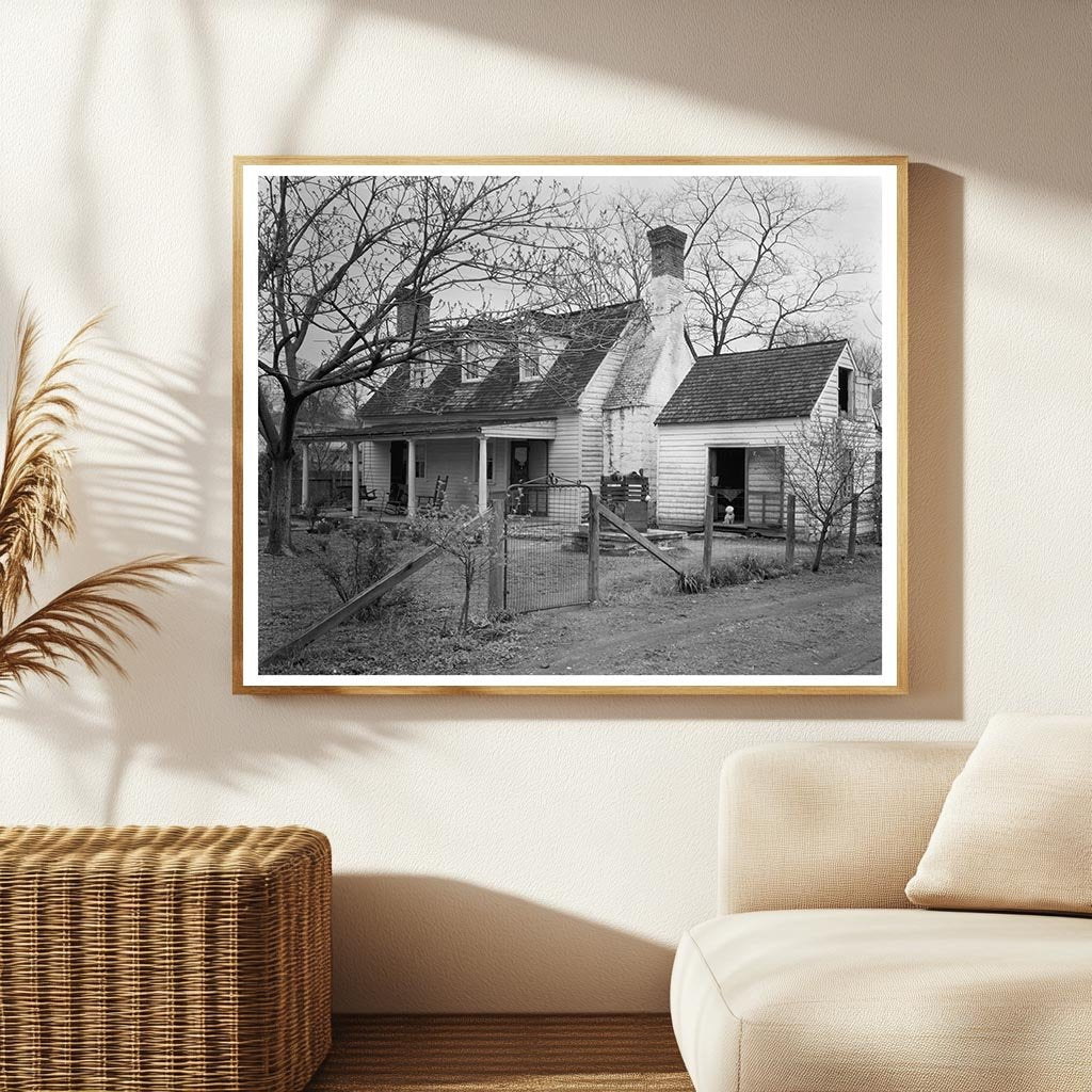 Falmouth VA Orchard Photo, Carnegie Survey 20th Century