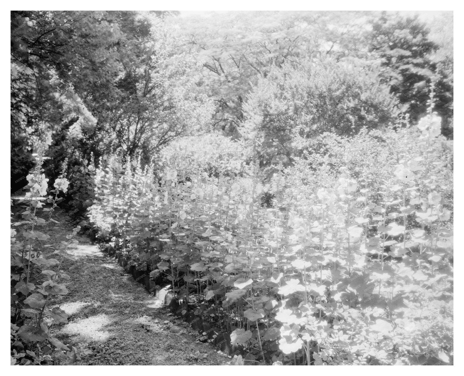 Fredericksburg, VA Garden Photo from 1780 Architecture