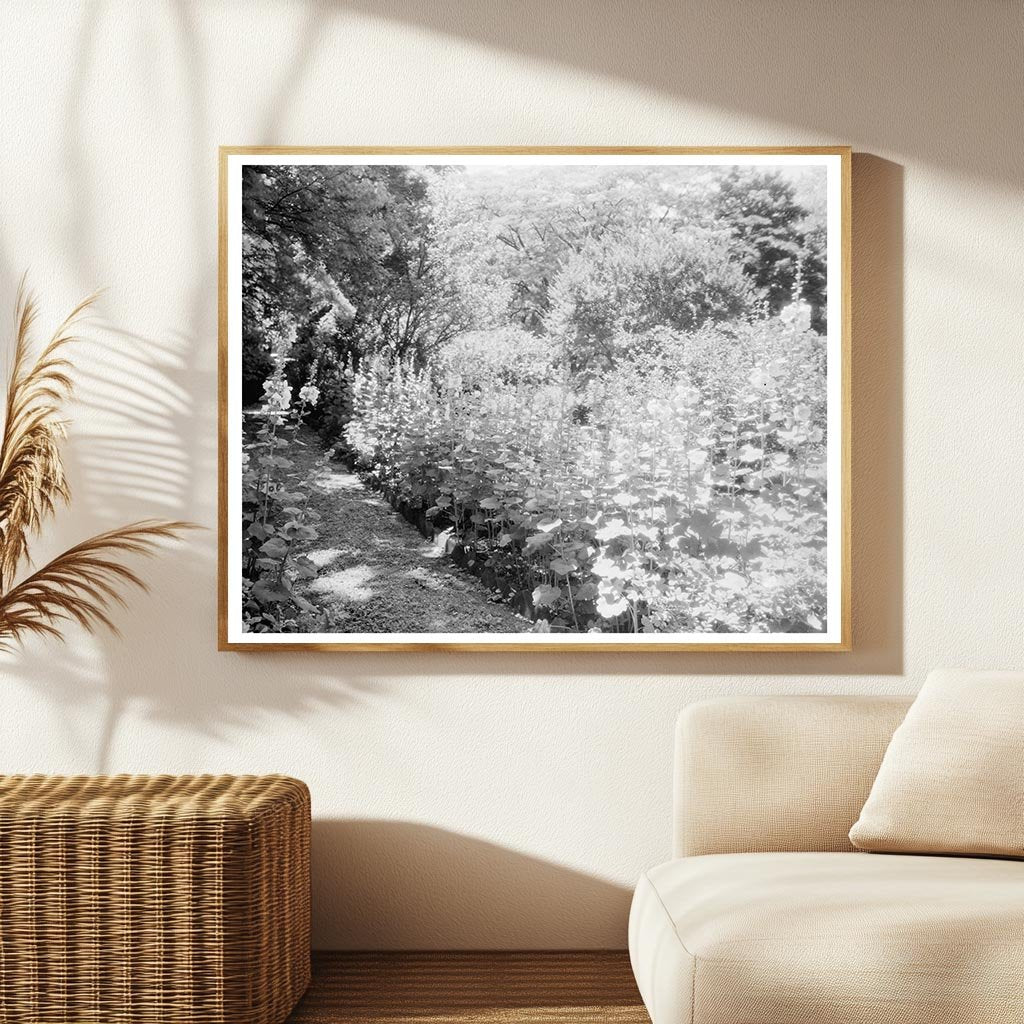 Fredericksburg, VA Garden Photo from 1780 Architecture