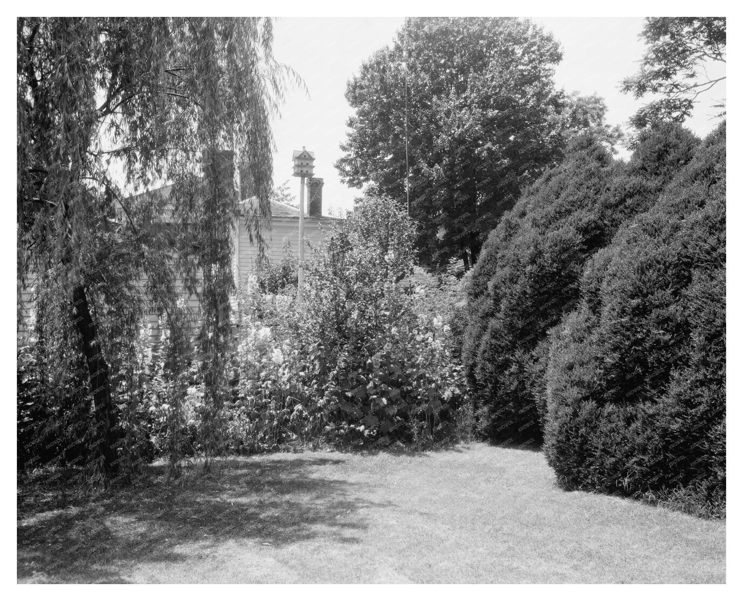 Fredericksburg VA Garden Photo, Early 1900s