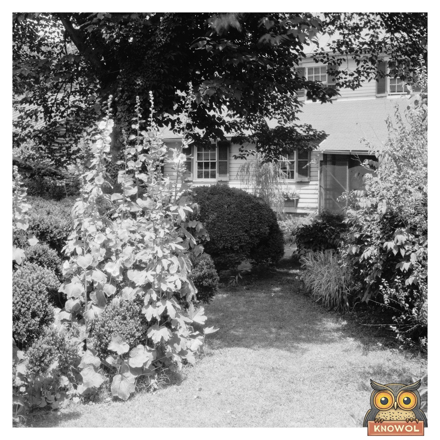 Historic Gardens of Fredericksburg, VA - 20th Century Photo