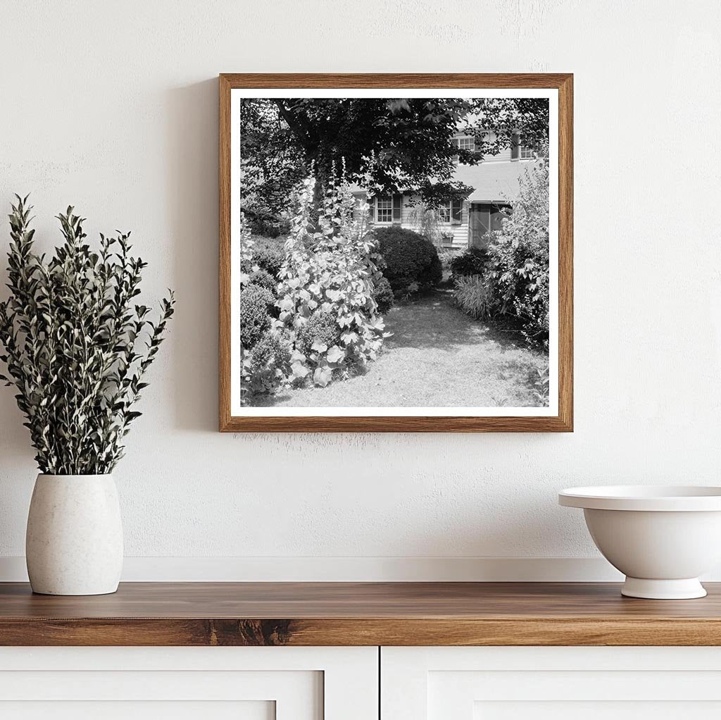 Historic Gardens of Fredericksburg, VA - 20th Century Photo