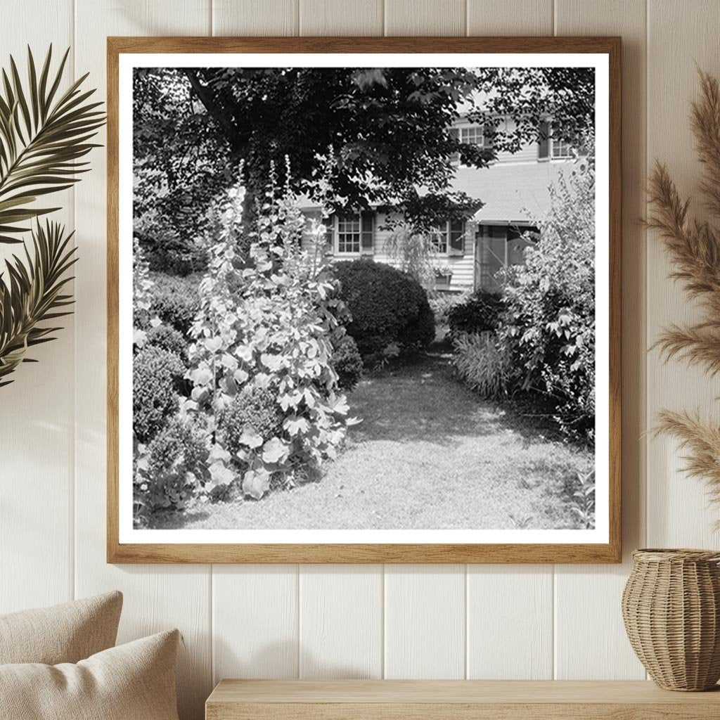 Historic Gardens of Fredericksburg, VA - 20th Century Photo