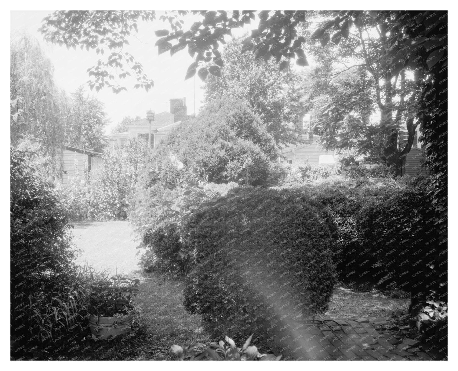 Fredericksburg VA Gardens 1900s - Carnegie Survey