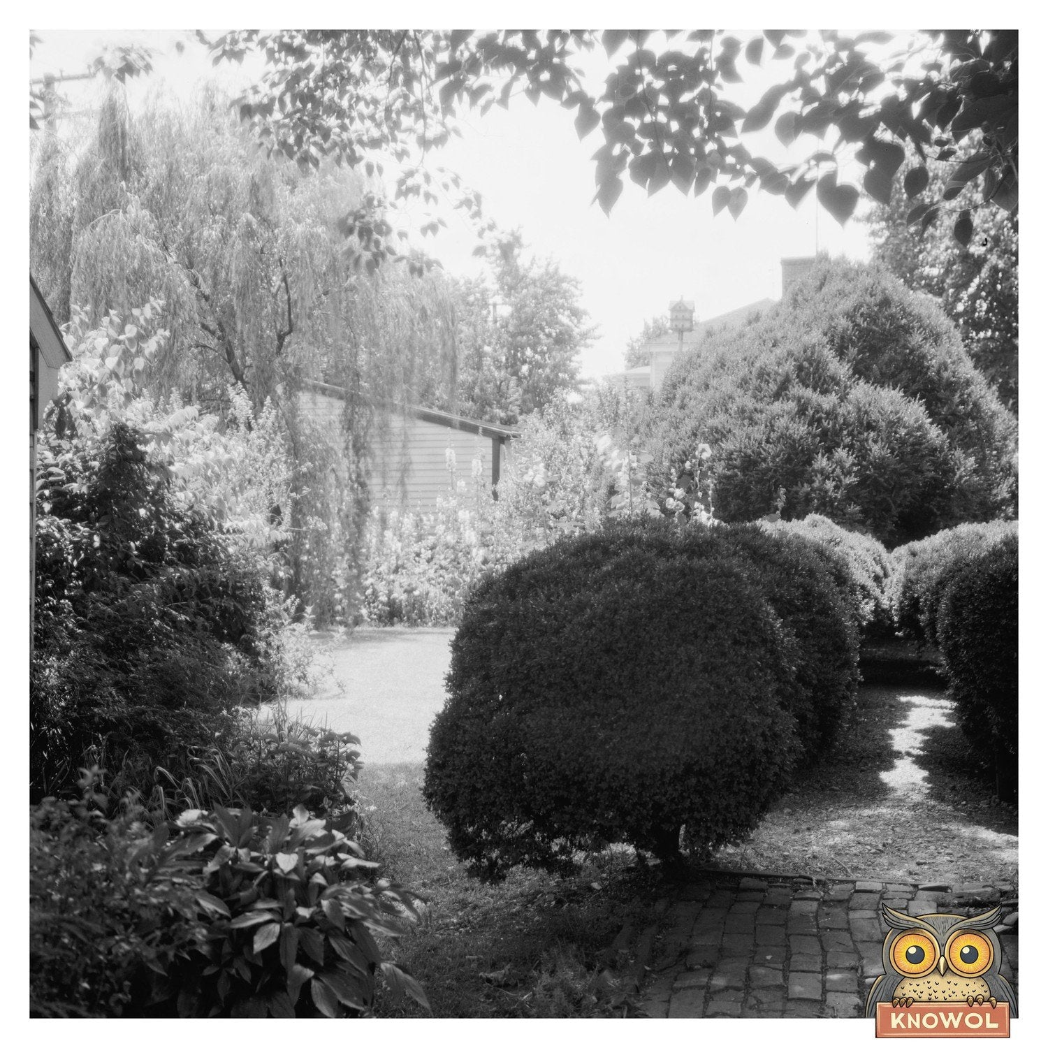 Fredericksburg VA Gardens Photo, 1930s Historical Art