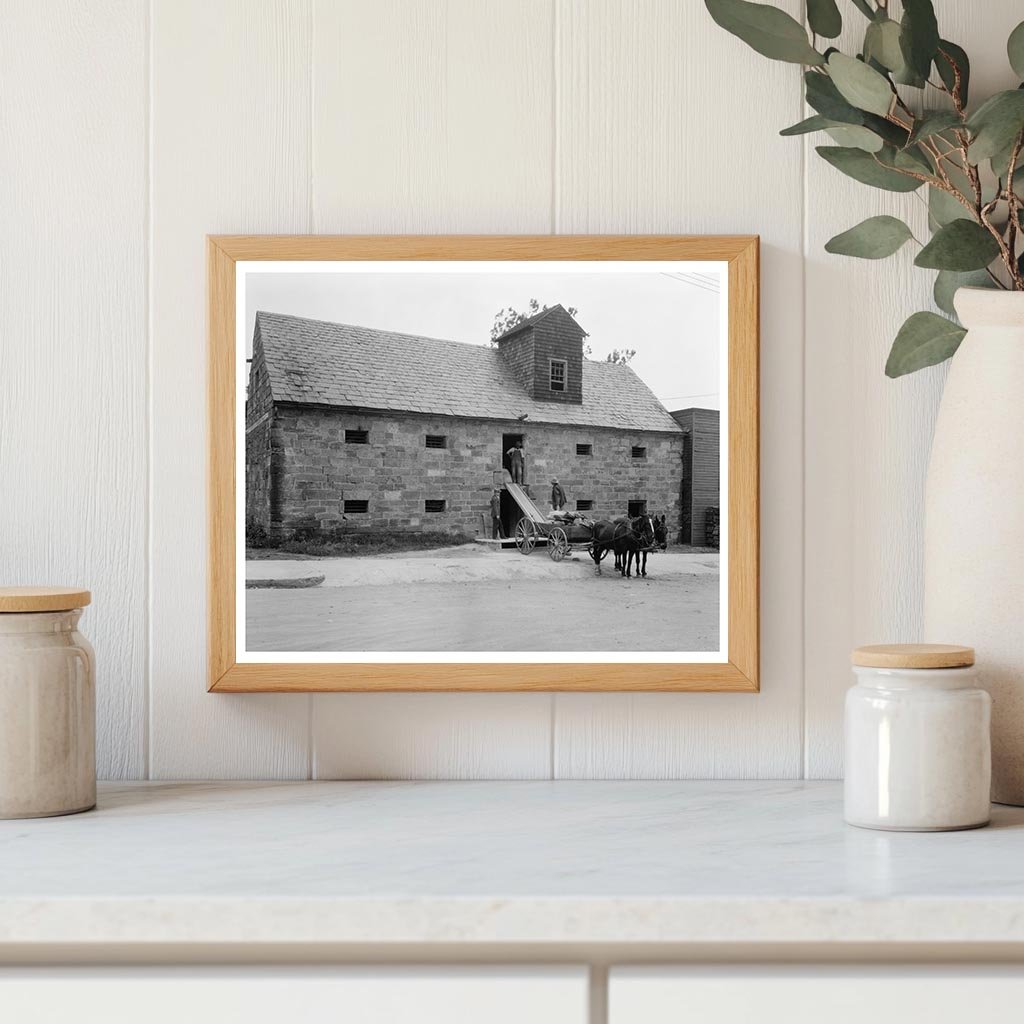 Fredericksburg VA Early 20th Century Architecture Photo