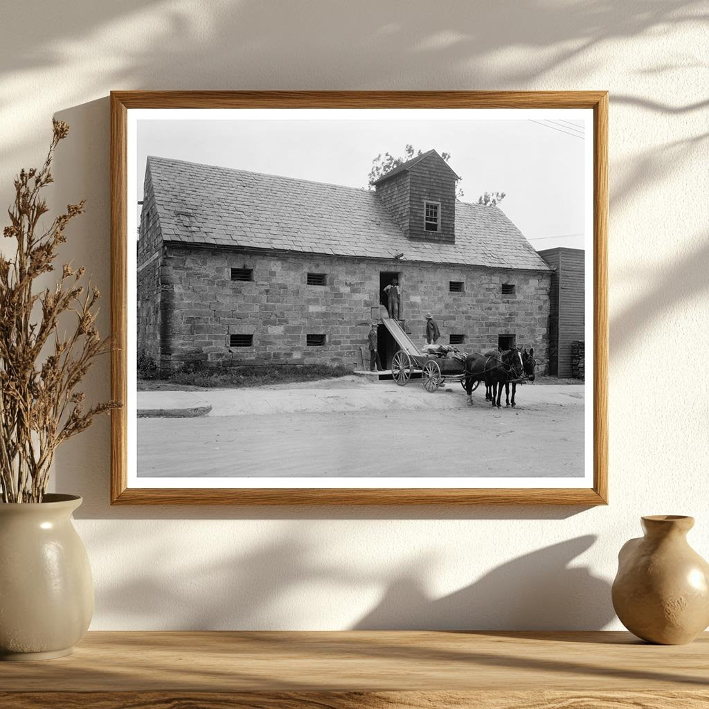 Fredericksburg VA Early 20th Century Architecture Photo