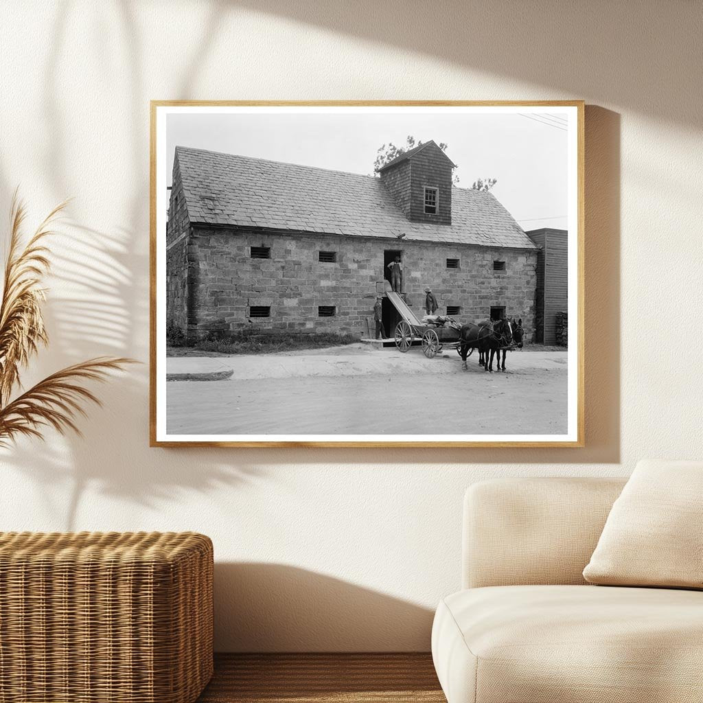 Fredericksburg VA Early 20th Century Architecture Photo