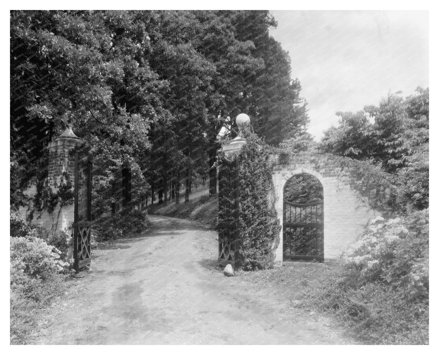 Fredericksburg VA Estate Restoration Photo, 1953