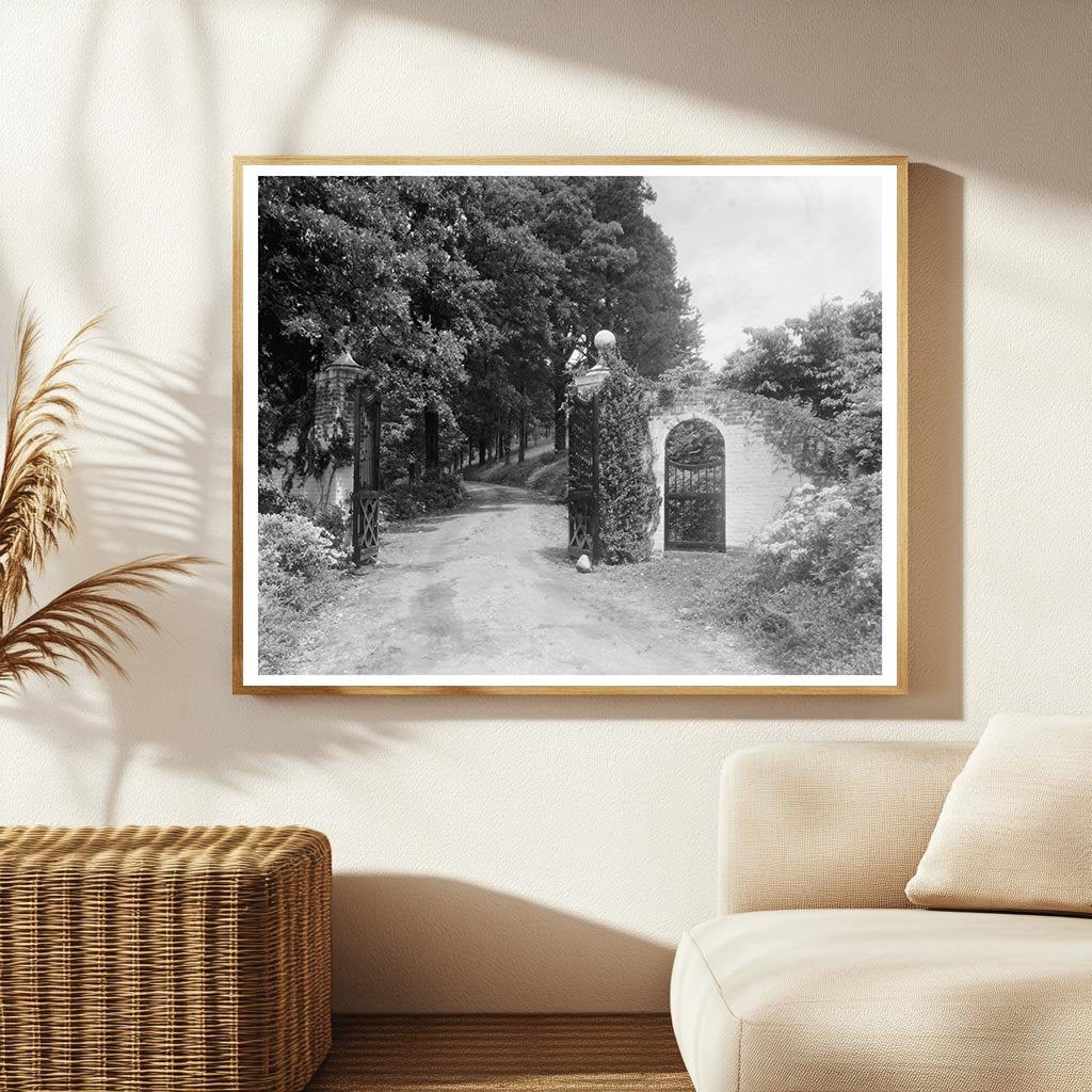 Fredericksburg VA Estate Restoration Photo, 1953