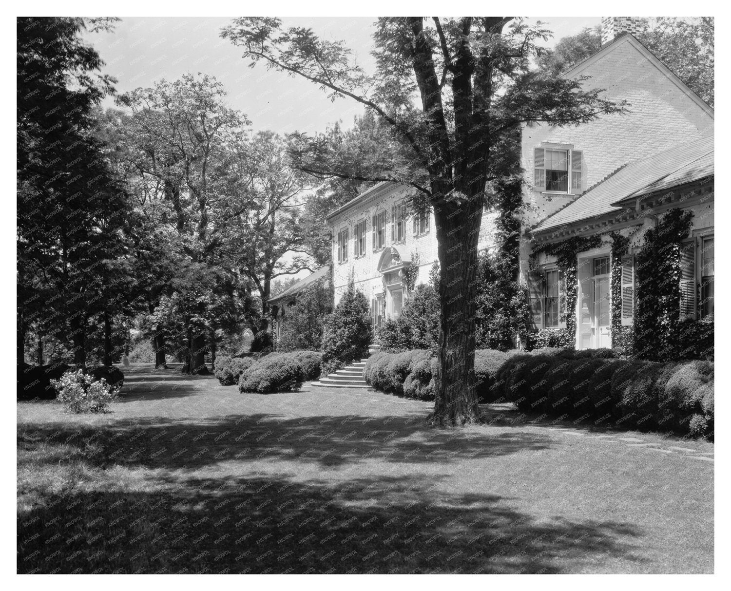 Falmouth Virginia Estate, Early 20th Century Photo